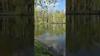 В Таврическом саду 🌿