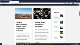 How to Reset WordPress to the Default Settings / Faster than Starting Over