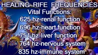 HEALING RIFE FREQUENCIES  Vital Functions: Heart, Kidneys, Liver, Nervous System, Immune System