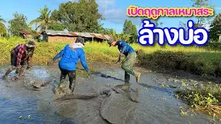 จะใหญ่ไปไหน!! ล้างบ่อปลาดุกยักษ์ฟาดเรียบไม่เหลือ ถ้ามันหลุดเข้ามา l เปิดฤดูกาลเหมาสระปี67 l Ep.02