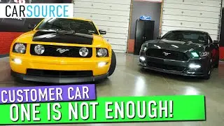 One Mustang is NOT enough for this couple! | Customer Spotlight #mustang