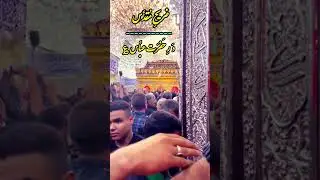 Zareeh e Muqaddas Hazrat Abbas Alamdar  a.s || Ali Safdar|| Karbala Arbaeen 2024 #alisafdar #karbala