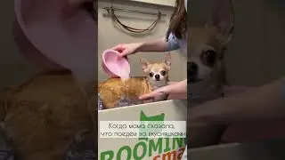Подставила меня