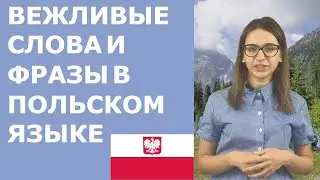 Учим польский язык.  Вежливые слова и фразы в польском языке.