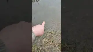 ЩУКА руками.Рыбалка на Оке 🤣🤣🤣#shorts #fishing #рыбалка