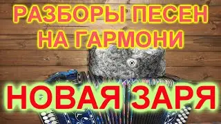 РАЗБОР ПОД ГАРМОНЬ! НОВАЯ ЗАРЯ!