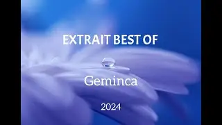 Best of Geminca 