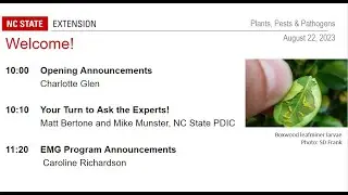 PPP August 2023 | EMG Photos of Pest and Plant Disease Issues