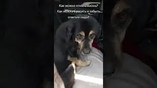Люди помогите, одна надежда на вас