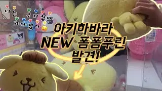 도쿄 아키하바라! 지나가다가 우연히 발견한 NEW 폼폼푸린 대형 인형! 너는 우리집에 가야겠다~
