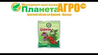 💉Краткий обзор на Циркон 