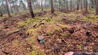 Dzinējmedības 29.10.22
