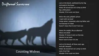 Lost on the Beach Driftwood Scarecrow Lyric Video