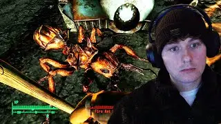 Getting Destroyed by Fire Ants in Fallout