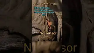 HEBOH. alina bule rusia foto tel4nj4ng di kayu sakral kawasan pura BALI