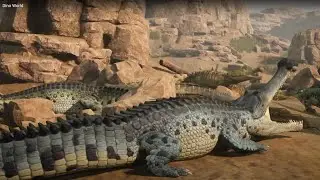 Clash of Titans: Inside the Dinosaur Kingdom