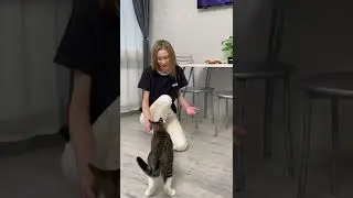 ХОЗЯЙКА ОБМАНУЛА МЯТУ?!😱