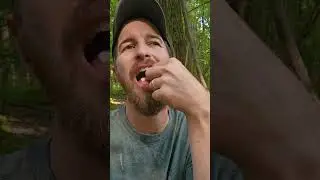 Ghost Pipe - natural pain reliever