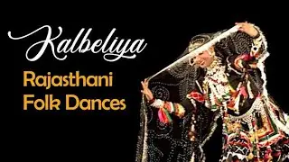 कालबेलिया डांस|| kalbeliya dance //best folk dance video