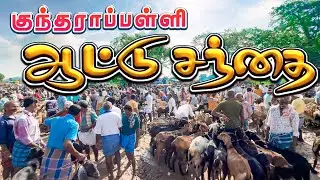 Cheapest Goat Market in Tamilnadu | குந்ததாரப்பள்ளி ஆட்டு சந்தை  #veejayLifestyle #goatmarket #goat