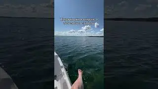КОГДА ТЫ В ОТПУСКЕ, А ТЕБЕ ЗВОНЯТ С РАБОТЫ