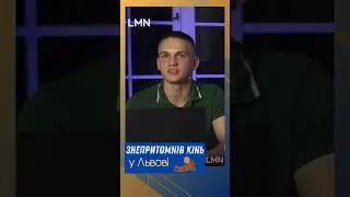 У Львові знепритомнів кінь #кінь #lmn #знепритомнівкінь #насиллянадтваринами #video #львівщина