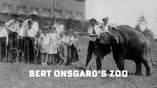 Bert Onsgard's Zoo