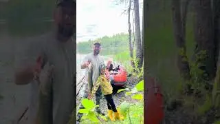 #дикарямипороссии