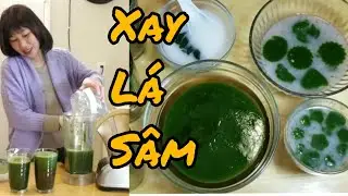 Cách xay lá sâm ngon, trồng cây sương sâm ở Mỹ