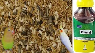 Daily food and medicine for all birds in Telugu