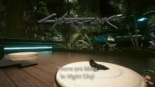 Birds in Night City - Cyberpunk 2077 animals and tunes