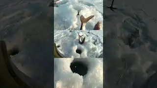 @невскийРЫБАЛОВ