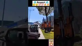 Respect Process of Tree Transplanting 🥶💯🧖 #shorts