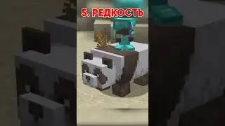 УДИВИТЕЛЬНЫЕ ФАКТЫ О КАДАВРЕ 