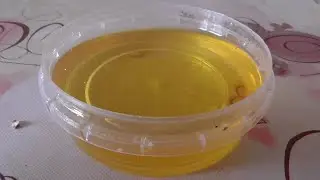 Человек на кухне пробует цветочный мёд в банке