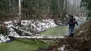 В поисках забытого поселка