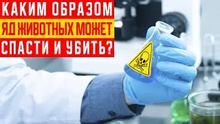 Как Один и тот же Яд Животного Может Спасти так и Убить Человека?