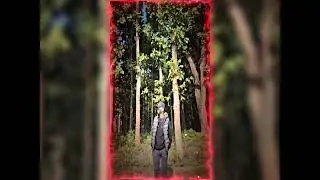 Trending XML present 💝 || XML present link 🖇️ || @ashmitrana