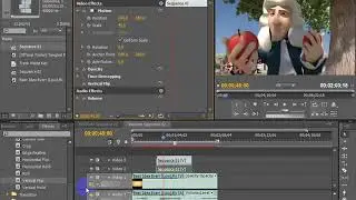 Pixelate Video in Adobe premiere pro cc