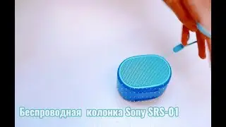 Обзор: беспроводная колонка Sony SRS-01