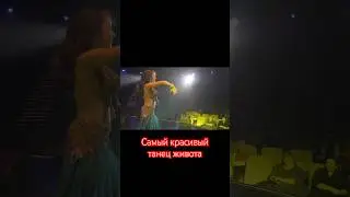 Танец живота! #восточныйтанец #петрказаков #bellydance #ахкакаякрасота
