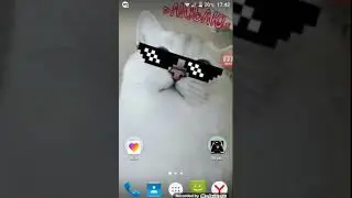Как снять видео в лай