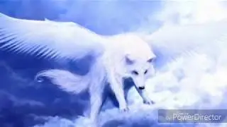 Круги на воде