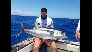 Jigging en Guadeloupe Ep 3 - Thons jaunes !