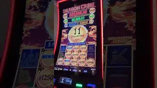 $250 BET 😳Things Got Wild!!!! #casino #slots #gambling
