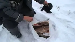 Зимняя рыбалка (Часть 27)