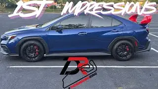 My First Experience at Dominion Raceway 🏁 | Full Day Recap!