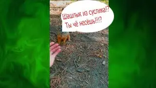 Шашлык из  суслика, жесть!!!