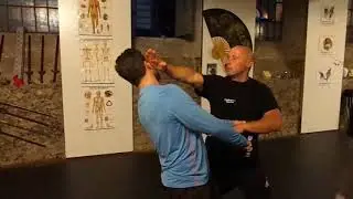 Lung Hu Chuan Form mit Anwendung 2