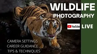 Wildlife Photography Tips and Techniques with Munish Palaniappan | Tamil Photography Tutorials